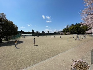 IMG_8634 IMG_8634