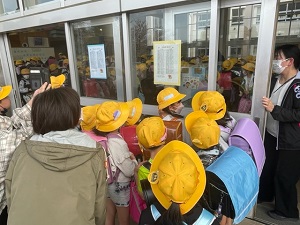 IMG_8655 IMG_8655