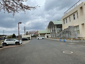 IMG_8659 IMG_8659
