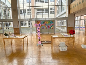 IMG_8662 IMG_8662
