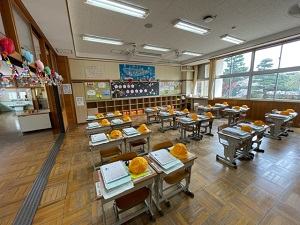 IMG_8663 IMG_8663