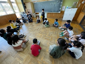 IMG_8733 IMG_8733