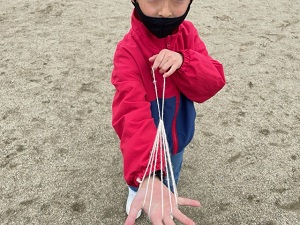 IMG_8784 IMG_8784
