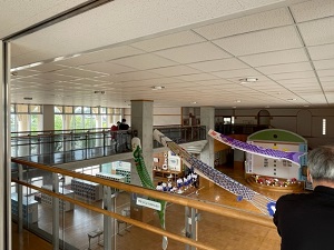 IMG_8820 IMG_8820