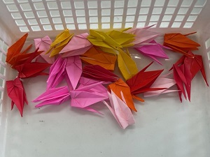 IMG_8918 IMG_8918