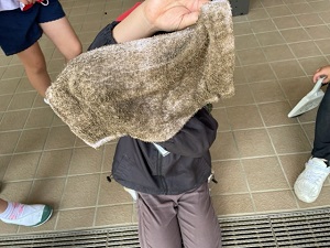 IMG_8837 IMG_8837