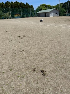 IMG_8960 IMG_8960