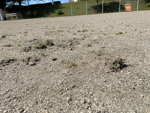 IMG_9064 IMG_9064
