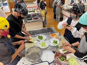 IMG_9181 IMG_9181