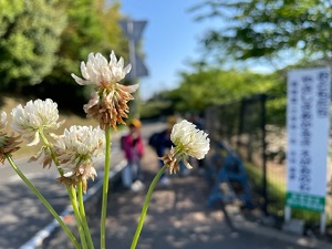 IMG_9114 IMG_9114