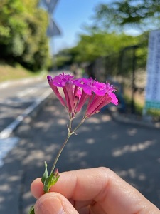 IMG_9192 IMG_9192