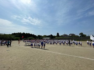 IMG_9207 IMG_9207