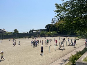 IMG_9223 IMG_9223