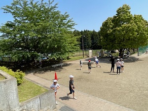 IMG_9224 IMG_9224