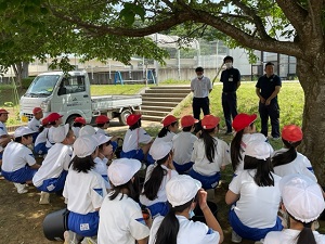 IMG_9235 IMG_9235