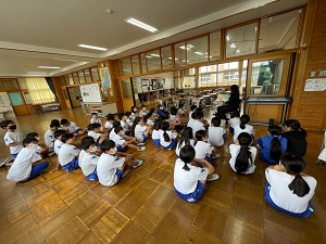 IMG_9246 IMG_9246