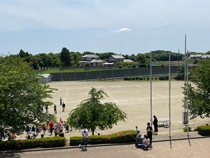 IMG_9392 IMG_9392