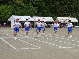 DSC01942 DSC01942