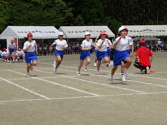 DSC01995 DSC01995