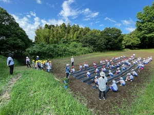 IMG_9738 IMG_9738
