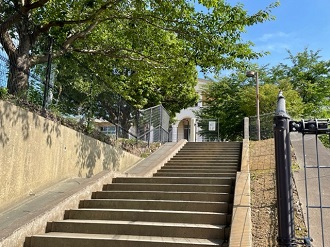 IMG_9832 IMG_9832