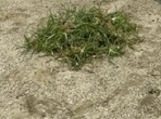 IMG_0023 IMG_0023