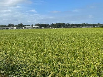 IMG_0831 IMG_0831