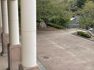 IMG_1284 IMG_1284