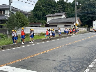 IMG_1294 IMG_1294