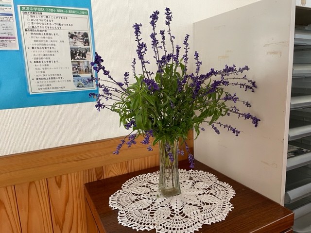 IMG_2121 IMG_2121