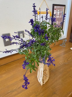 IMG_2382 IMG_2382
