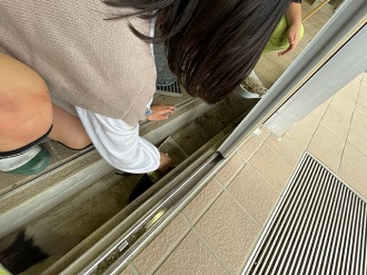 IMG_2539 IMG_2539