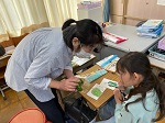 IMG_2691