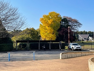 IMG_2790 IMG_2790