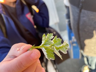 IMG_3414 IMG_3414