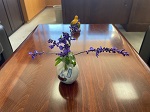 IMG_2385 IMG_2385