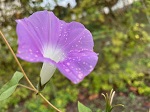 IMG_2510
