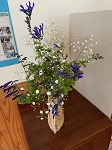 IMG_1272 IMG_1272