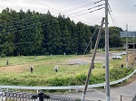 IMG_1413