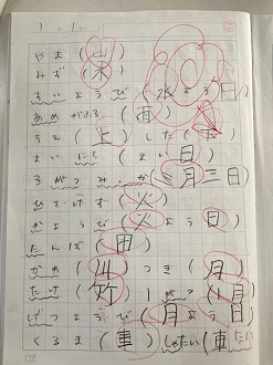 IMG_3718 IMG_3718