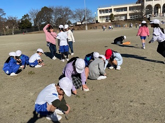 IMG_3902 IMG_3902
