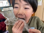 IMG_4331