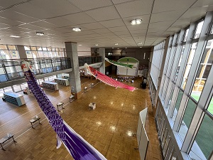 IMG_1280 IMG_1280