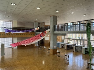 IMG_1282 IMG_1282