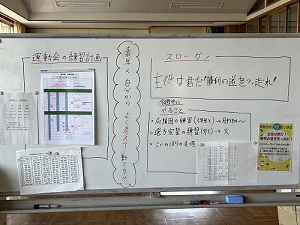 IMG_1345 IMG_1345