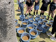 IMG_6663 IMG_6663