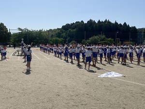 IMG_1366 IMG_1366