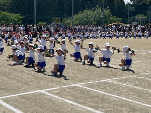 IMG_1407 IMG_1407