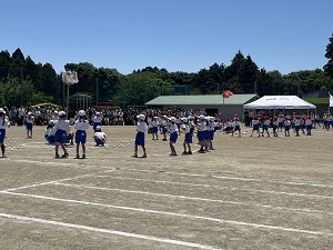 IMG_1419 IMG_1419