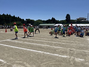 IMG_1421 IMG_1421